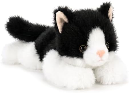 Tuxedo Cat Kitten